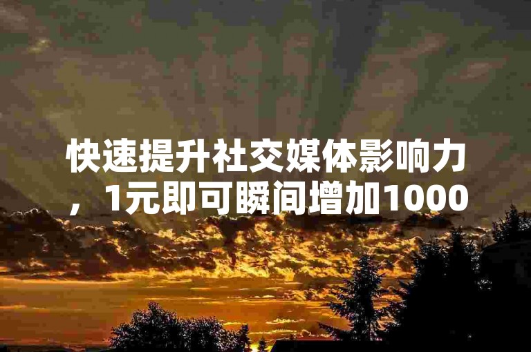 快速提升社交媒体影响力，1元即可瞬间增加1000名粉丝。