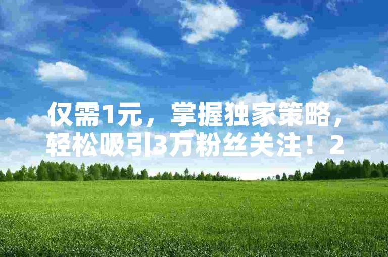 仅需1元，掌握独家策略，轻松吸引3万粉丝关注！2025年必备技巧。