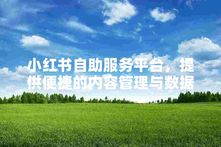 小红书自助服务平台，提供便捷的内容管理与数据分析服务，助力用户高效运营社交媒体账号。