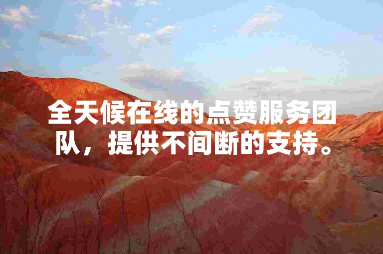 全天候在线的点赞服务团队，提供不间断的支持。