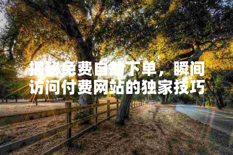 揭秘免费自助下单，瞬间访问付费网站的独家技巧，2025年必备技能！