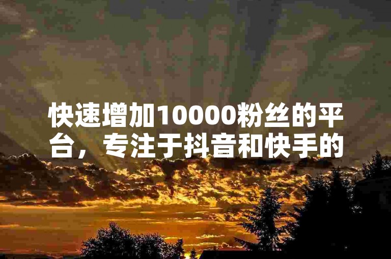 快速增加10000粉丝的平台，专注于抖音和快手的业务推广。