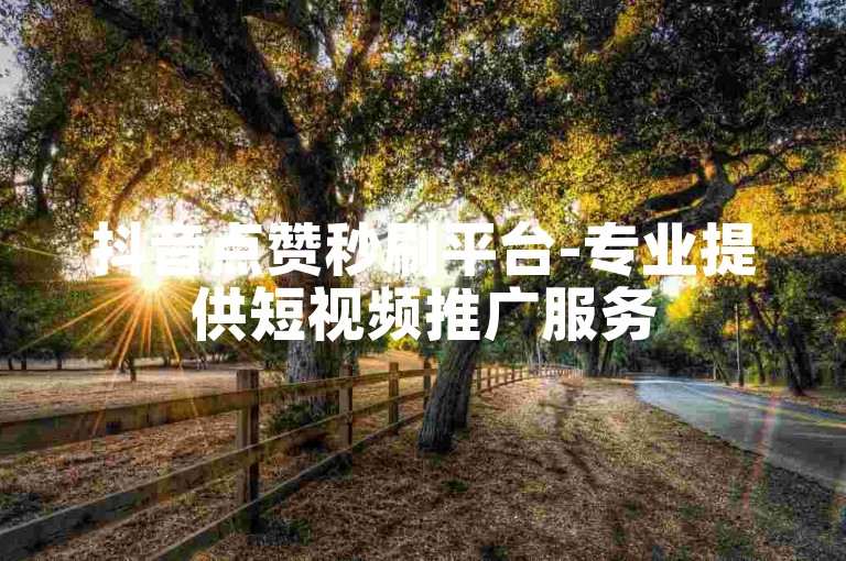 抖音点赞秒刷平台-专业提供短视频推广服务