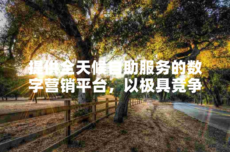 提供全天候自助服务的数字营销平台，以极具竞争力的价格为社交媒体账号增加粉丝和点赞。