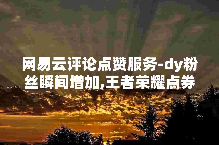 网易云评论点赞服务-dy粉丝瞬间增加,王者荣耀点券快速充值平台。