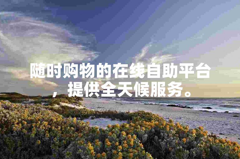 随时购物的在线自助平台，提供全天候服务。