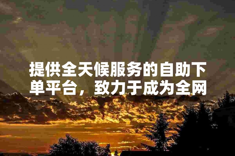提供全天候服务的自助下单平台，致力于成为全网价格最低的选择。