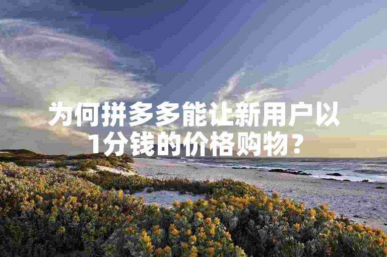 为何拼多多能让新用户以1分钱的价格购物？