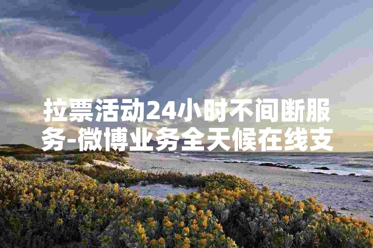 拉票活动24小时不间断服务-微博业务全天候在线支持