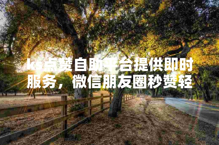 ks点赞自助平台提供即时服务，微信朋友圈秒赞轻松实现。