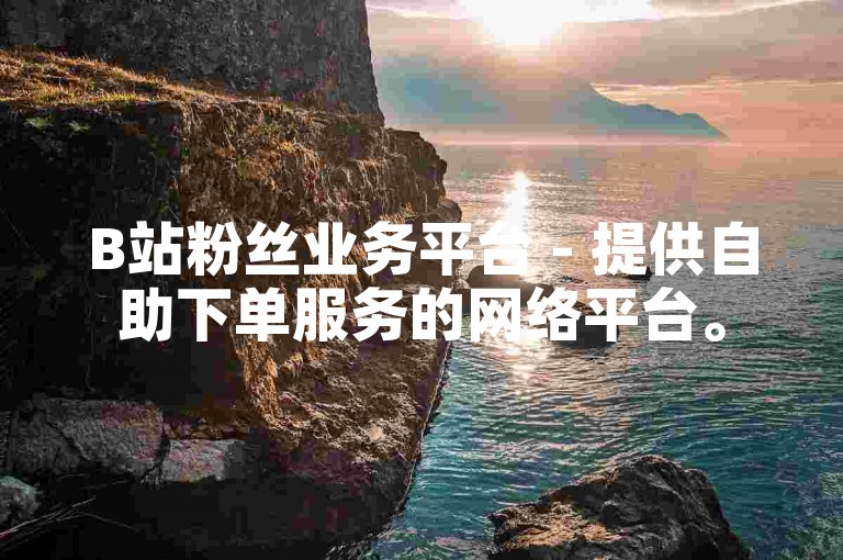 B站粉丝业务平台 - 提供自助下单服务的网络平台。