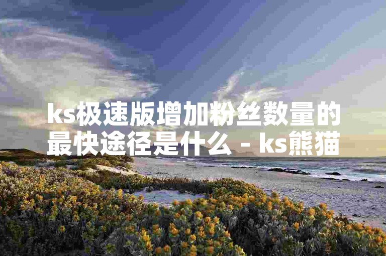 ks极速版增加粉丝数量的最快途径是什么 - ks熊猫社区自助服务平台。