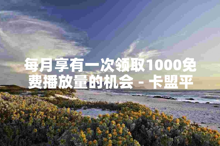 每月享有一次领取1000免费播放量的机会 - 卡盟平台提供经济实惠的自助下单服务。
