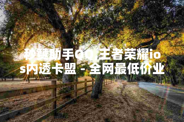 秒赞助手QQ,王者荣耀ios内透卡盟 - 全网最低价业务网站 - 快手用的什么引擎