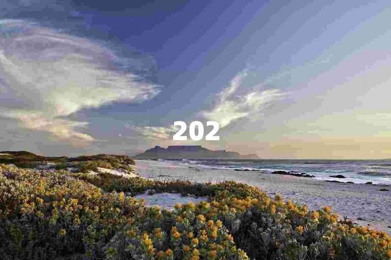 2025年拼多多助力秘籍，集结助力伙伴，愉快畅享折扣。