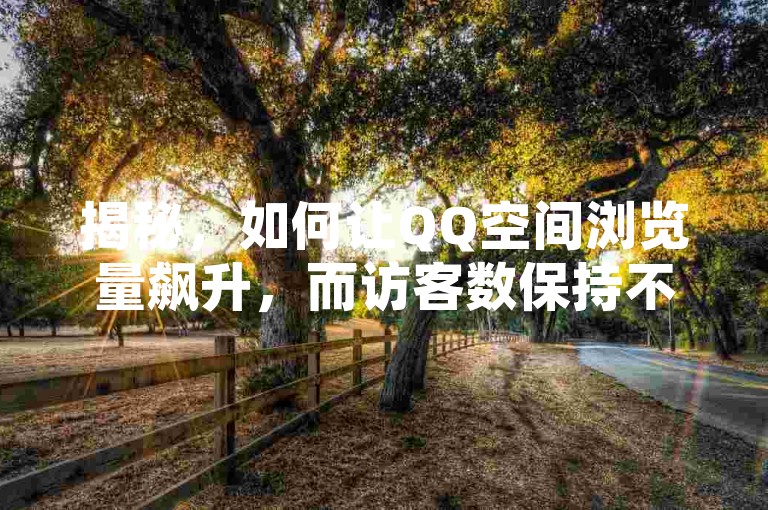 揭秘，如何让QQ空间浏览量飙升，而访客数保持不变！2025年必备技巧。
