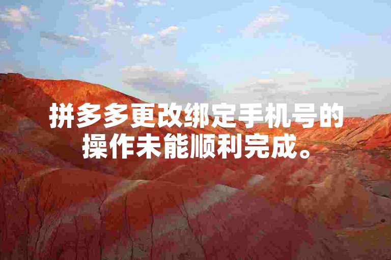 拼多多更改绑定手机号的操作未能顺利完成。