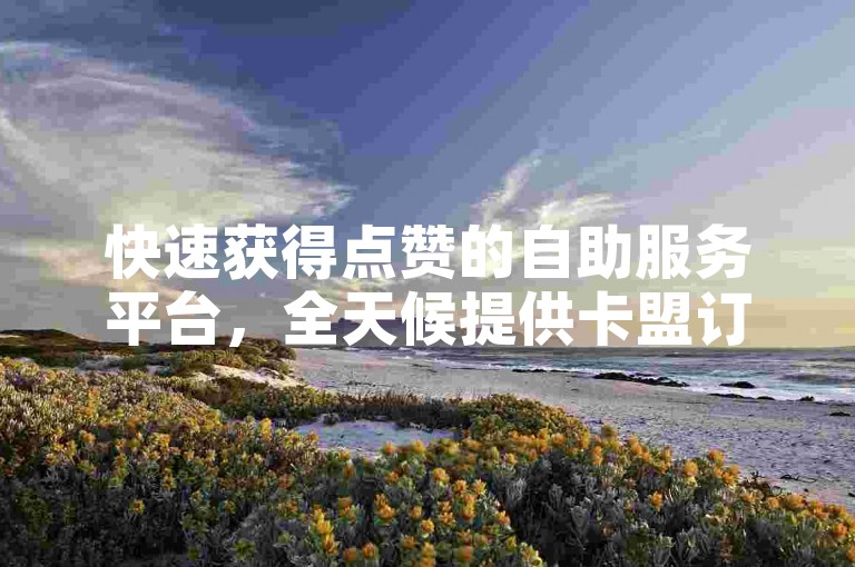 快速获得点赞的自助服务平台，全天候提供卡盟订单处理。