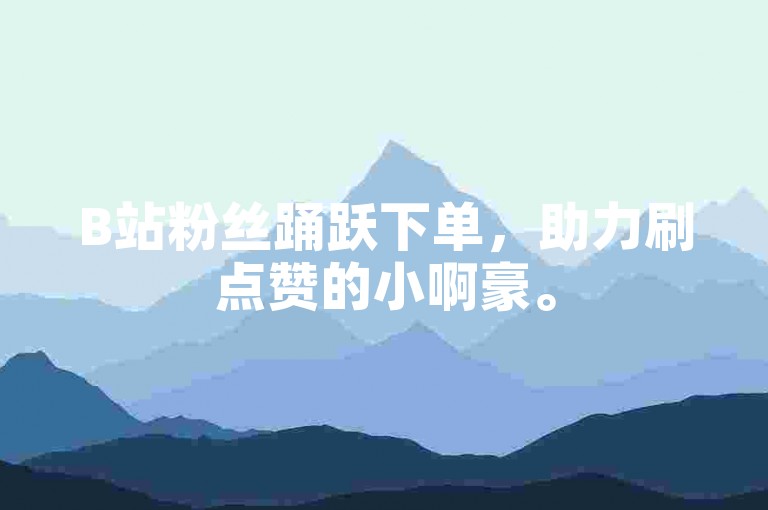B站粉丝踊跃下单，助力刷点赞的小啊豪。