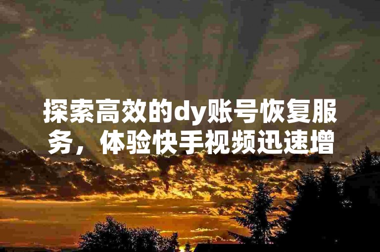 探索高效的dy账号恢复服务，体验快手视频迅速增加点赞的专业平台。