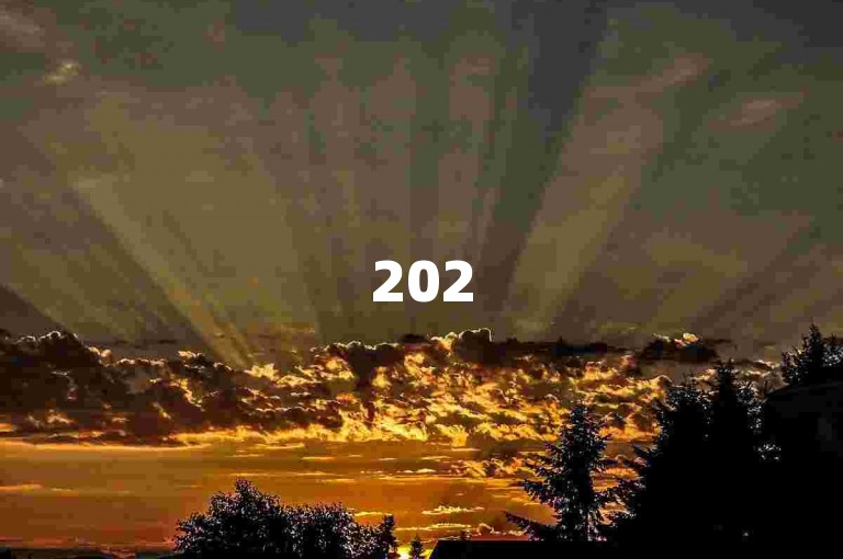 2025年拼多多助力群，多多助力网站。