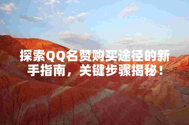 探索QQ名赞购买途径的新手指南，关键步骤揭秘！