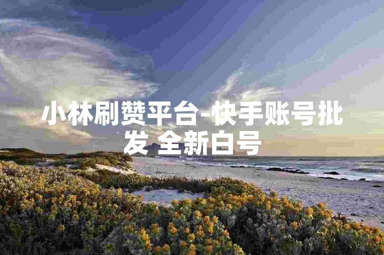 小林刷赞平台-快手账号批发 全新白号