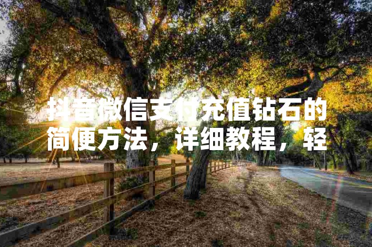 抖音微信支付充值钻石的简便方法，详细教程，轻松掌握！！2025必备技巧