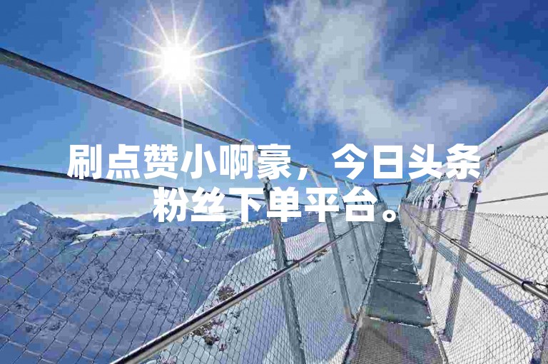刷点赞小啊豪，今日头条粉丝下单平台。