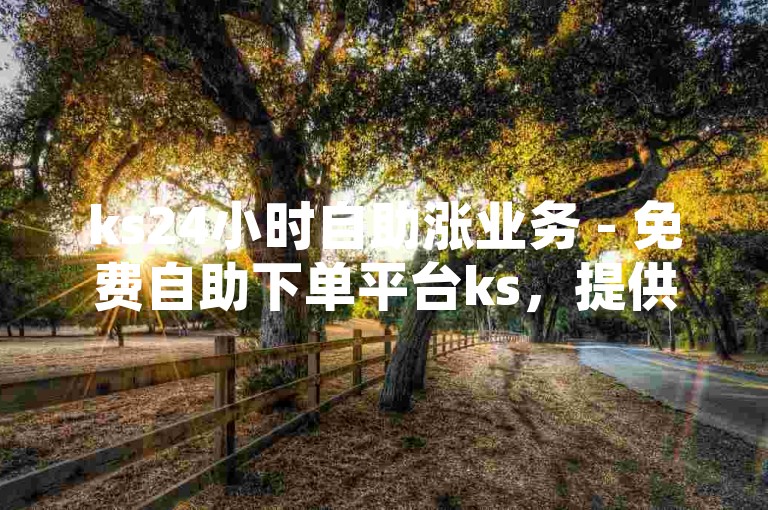 ks24小时自助涨业务 - 免费自助下单平台ks，提供全天候不间断服务，让您轻松提升业务。