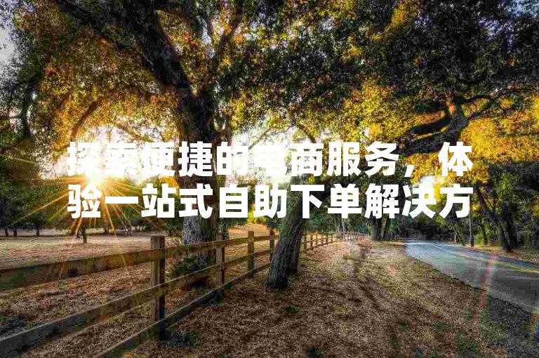 探索便捷的电商服务，体验一站式自助下单解决方案。