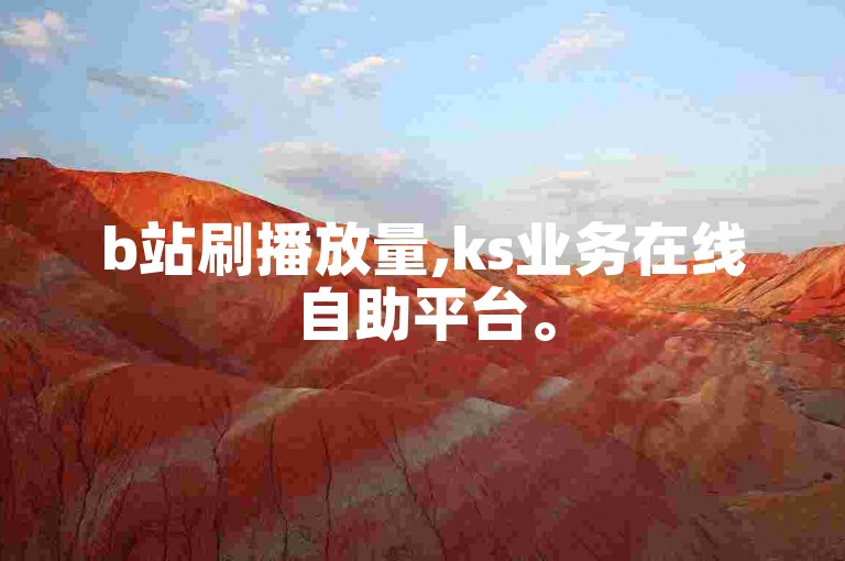 b站刷播放量,ks业务在线自助平台。