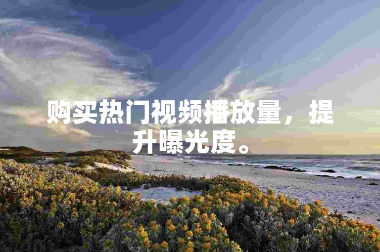 购买热门视频播放量，提升曝光度。