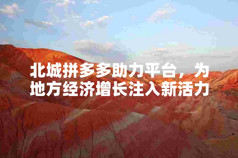 北城拼多多助力平台，为地方经济增长注入新活力。