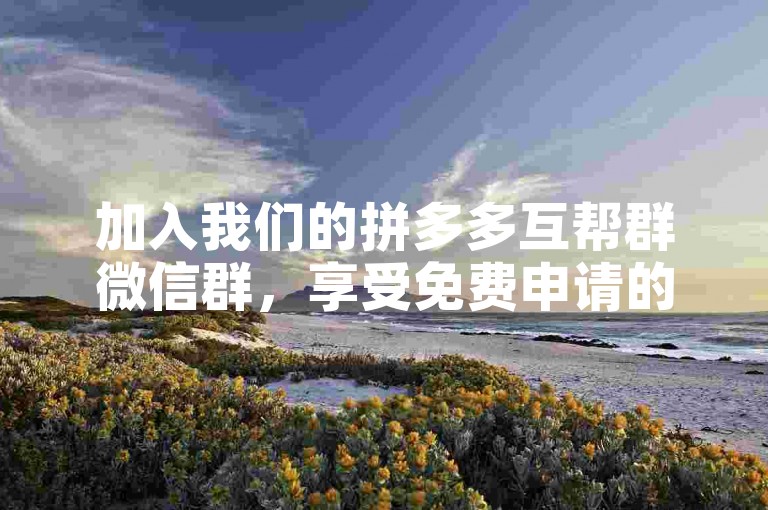 加入我们的拼多多互帮群微信群，享受免费申请的便利，共同踏上轻松互助的旅程。