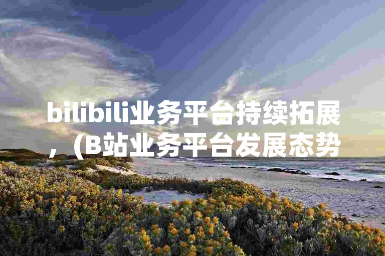bilibili业务平台持续拓展，(B站业务平台发展态势良好)。