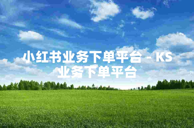 小红书业务下单平台 - KS业务下单平台