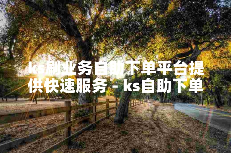 ks刷业务自助下单平台提供快速服务 - ks自助下单平台位于山东