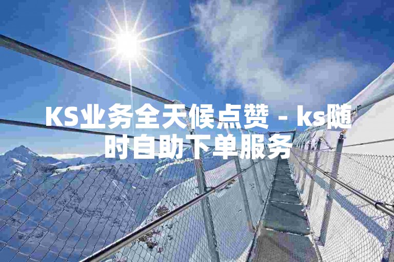 KS业务全天候点赞 - ks随时自助下单服务