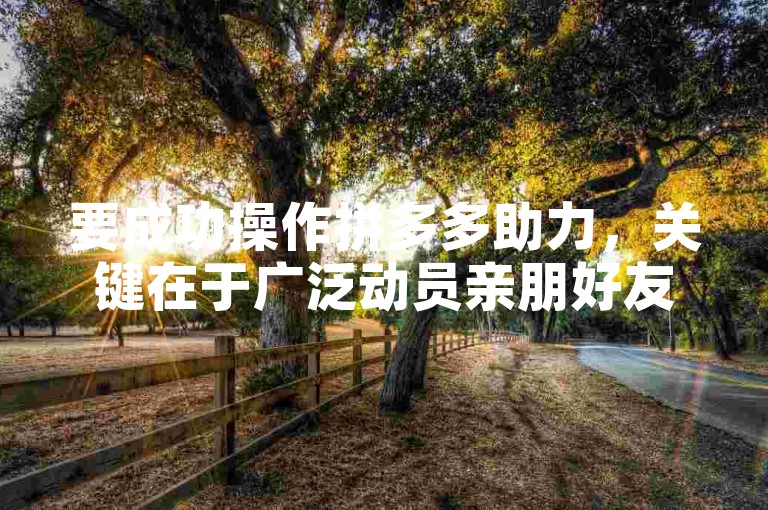 要成功操作拼多多助力，关键在于广泛动员亲朋好友参与，并巧妙利用平台规则，以高效完成助力任务。