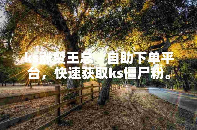 ks涨赞王总 - 自助下单平台，快速获取ks僵尸粉。