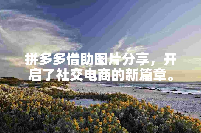 拼多多借助图片分享，开启了社交电商的新篇章。