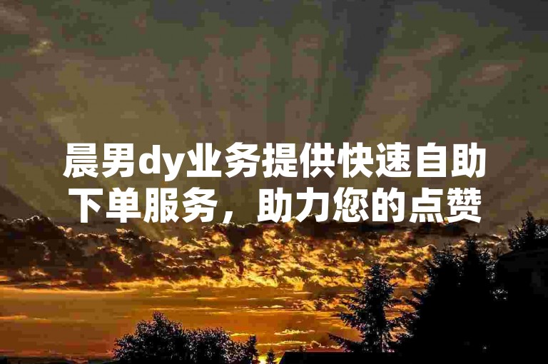 晨男dy业务提供快速自助下单服务，助力您的点赞需求迅速得到满足。