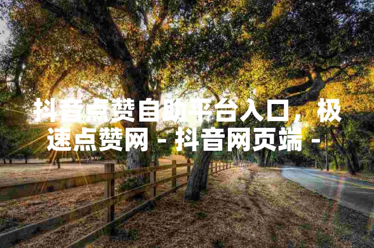 抖音点赞自助平台入口，极速点赞网 - 抖音网页端 - 抖音推广工具一站式服务。