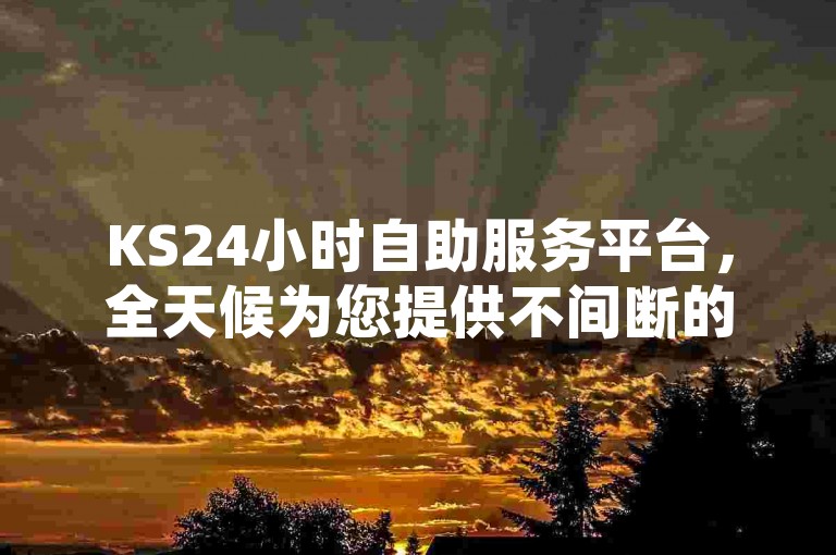 KS24小时自助服务平台，全天候为您提供不间断的便捷服务，助力您高效解决各类问题。