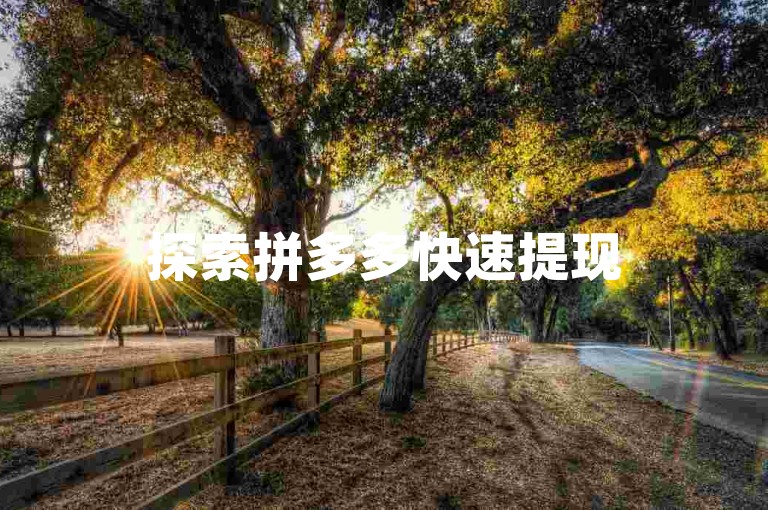 探索拼多多快速提现50元的实用技巧与步骤。