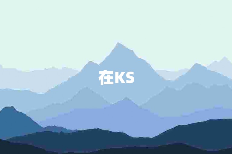 在KS50赞自助平台下单网红代网涨服务需要支付多少费用？