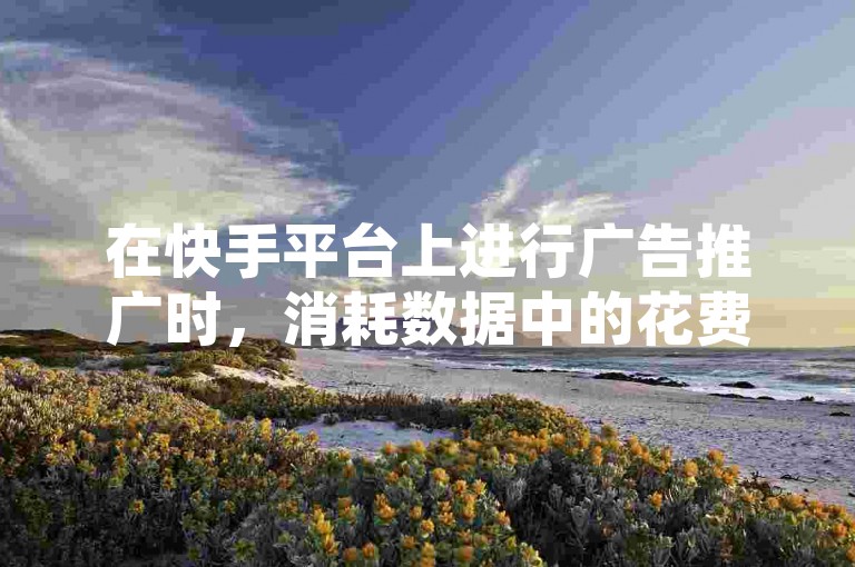 在快手平台上进行广告推广时，消耗数据中的花费金额是衡量营销效果的关键指标之一。