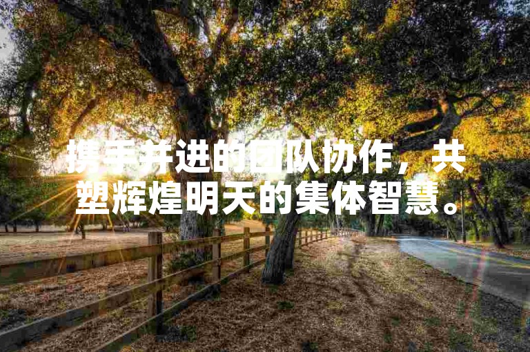 携手并进的团队协作，共塑辉煌明天的集体智慧。