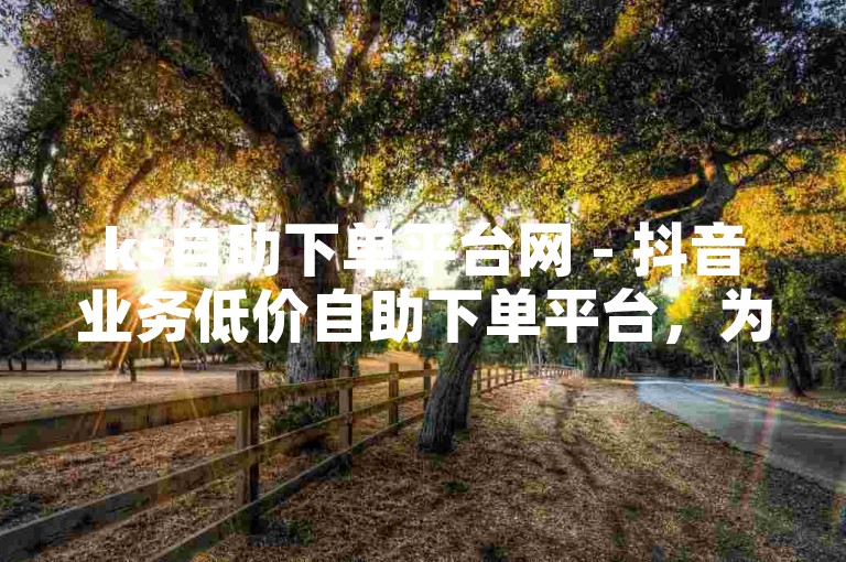 ks自助下单平台网 - 抖音业务低价自助下单平台，为老年人提供便捷的服务。